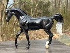 Rare Breyer Horse  703113 Onyx Glossy Black Fun Days Show Arabian 2010 