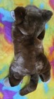 Ty Beanie Buddy Pounce The Cat Plush 14    Bean Bag Stuffed Animal Plush 2001 Nwt