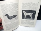 Breeds Of Dogs U s  Departmen Of Agriculture Farmers Bulletin