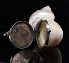 Antique Natural Shell Snuff Pill Patch Box Nickle Silver Mounted C 1900