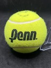 Tennis Ball  Autographed Signed By Martina Hingis  Over Sized Ball
