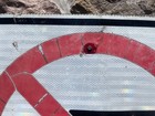 Vintage Authentic No Trucks Allowed Stop Symbol Retired Metal Street Sign 24x24