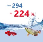 6   x250 G Hikari Tropical Food Sticks Arowana Carnivore Fish Food Pellet Floating