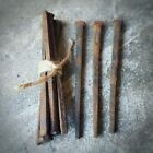 Large Antique Coffin Nails  Square Nails  Oddities   Curiosities  4 1 2 Inches