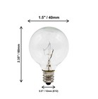 Clear Globe G40 Replacement Bulbs For Outdoor String Lights 5w 120v   25 Pack