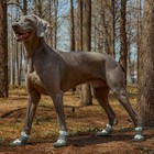 4pcs Anti-slip Dog Boots Waterproof Pet Shoes Small Medium Large Dog Outdoor Sal