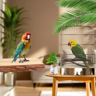 Bird Toys Parakeet Perch Budgie Perch Wood Stand Fork Toys Multi-branch Perch Pl