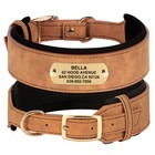 Leather Personalized Dog Collar 2  Wide Custom Pet Engraved Nameplate Collars