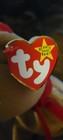 Ty Beanie Babies Bear Vintage Retired Lot Of 8 With Tags
