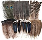 30pcs Feathers For Crafting 6 Styles Assorted Natural Craft Feathers - Peacock P