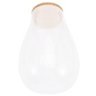 Clear Glass Terrarium Diy Plants Glass Empty Bottle Small Oval Vase