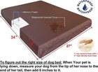 Memory Foam Pet Bed For Small Medium Large Dog And Waterproof Case 34 x27 x3 