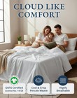 Lane Linen Eco Friendly 100 Organic Cotton Queen Sheet Set Soft Comfy Fully
