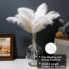 Holmgren White Ostrich Feathers Bulk - 20pcs Making Kit 22 Inch Large Ostrich Fe