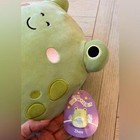 Squishmallow 14  Zhen 2023 Easter Frog  New W  Tags   hey There Hop Stuff 