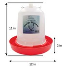 Little Family Members Chicken Waterer 1 5-gallon Metal Handle Poultry Drinker