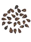 Mahogany Obsidian Elder Futhark Rune Set 25 Pcs Arrowhead Runes Norse Divination
