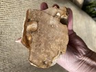 1 Lb Biggs Picture Jasper  Cut Lapidary Rough From Biggs  Oregon