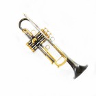 Vincent Bach Bb Trumpet Retro Copper B Flat Trumpete With Mouthpiece And Case