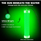 40000lm Underwater Led Green Fishing Light W 100ft Cable  400w  110v Goldlife 