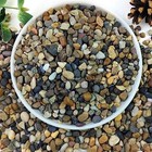 5lbs Aquarium Gravel  1 4  Fish Tank Gravel Natural River Rocks Succulent Cactus