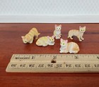 5 Dollhouse Cats Ginger Orange Tabby Tabbies Kittens 1 12 Scale Animals Cats