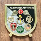 1st Battalion 1st Special Warfare Training Group  airborne  Challenge Coin  W 8