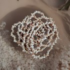 Vintage Handmade Tasmanian Aboriginal Indigenous Circa 1920 Shell Necklace 140cm