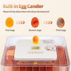 56 Egg Incubator With Automatic Egg Turning Egg Hatching Temp   Humidity Control