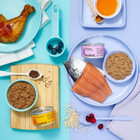 Chicken And Salmon Pate Variety Pack Wet Cat Food - Kindfull-36oz 12ct