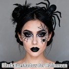 Black Smokey Eyeshadow Palette  9 Colors Black Silver Gray White Goth Eyeshad   