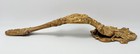 Antique Victorian Cast Brass Door Pull Rococo Revival 11 25 