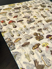 Vintage Mushrooms Design Tissue Paper Sheet Choose Size   Package Amount