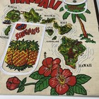 Vtg 80   s Hawaii Souvenir Tote Bag Sunglass Pouch Change Pouch Hibiscus Flower