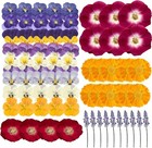 70 Pcs Edible Flowers For Cocktails   Cake Decorating     Real Dried Edible