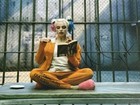 Margot Robbie Signed Bas Coa 8x10 Harley Quinn Photo Auto Autographed Beckett