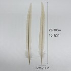 10pcs Off White Pheasant Tail Feathers 10 -12  Vintage Rustic Feather Decor F   