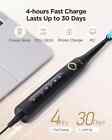 Fairywill Electric Toothbrush 8 Dupont Brush Heads Usb Rechargeable Travel Case