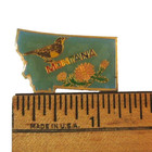 Montana Lapel Pin State-shaped Bitterroot Western Meadowlark State Symbols