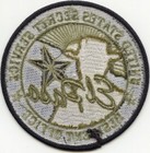 Usss El Paso Texas Subdued Green Police Patch