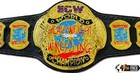 E C W World Heavyweight Wrestling Championship Replica Title 6mm Zinc Purple Log