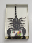 Afghanistan Real Scorpion Isaf Military Souvenir Paperweight W box