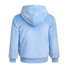 Disney Kids Princess Plush Lined Hoodie Soft Blue Pink Zip Embroidered Foiled