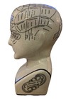 Phrenology Head Bust By L n  Fowler Ceramic Porcelain Psychology Science