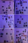 Vintage Stamp Collection Album And Assorted Stamps Lot