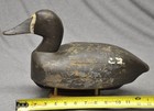 Vintage Paul Fraily New Baltimore  Mi  Canvasback Hen Duck Decoy  Old Paint