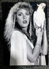 Stevie Nicks Bella Donna 1981 B w Slide   5x7  Print Hww Bonus 8x10  Photos