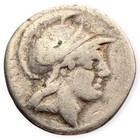 Roman Republic P  Satrienus 77 Bc Ar Denarius She Wolf Ancient Silver Coin 8i