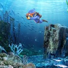  Floating Fish Tank Decorations  Aquarium Decorations  Lovely Diver Fish Blue