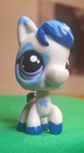 Littlest Pet Shop Pony  1964 Blue Star Nintendo Ds Exclusive Lps Rare Figure